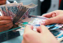 Entre 400 a 700 millones de lempiras fueron las pérdidas por paro del transporte