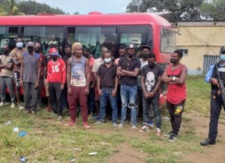 Detienen a dos coyotes hondureños con 43 haitianos que iban rumbo a EE. UU.