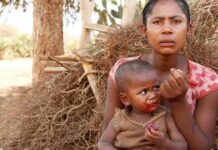 Madagascar entra en situación de hambruna y la gente come grillos y hierbas