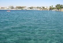 Descubiertos restos y mercancías de un navío del siglo XVIII en el Mar Rojo