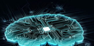 Científicos cultivan microtejido cerebral con un chip impreso en 3D