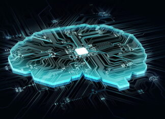 Científicos cultivan microtejido cerebral con un chip impreso en 3D