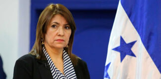 Presentarán moción para interpelar a la Ministra de Salud, Alba Consuelo Flores