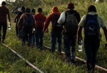 El 50 % de adultos mayores migrantes en Latinomérica se sienten discriminados