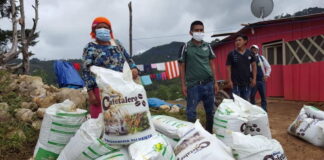 Inicia la entrega del bono cafetalero a más de 88 mil productores del país