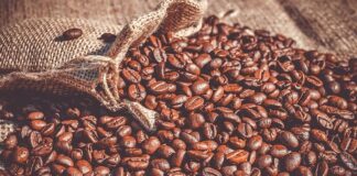 Europa pide la exportación del café producido en Olancho