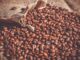 Europa pide la exportación del café producido en Olancho