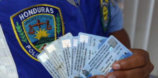 DNVT suspende la emisión de licencias de conducir hasta nuevo aviso