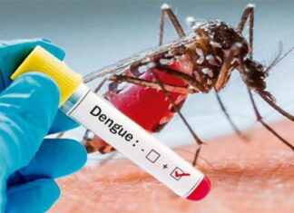 Honduras registra al menos 3.343 casos de dengue en lo que va de 2021
