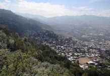 Honduras conmemora «Día del árbol» con creciente destrucción de sus bosques