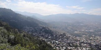 Honduras conmemora «Día del árbol» con creciente destrucción de sus bosques