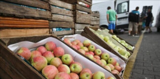 La covid-19 encarece en más del 100 % las materias primas en Centroamérica