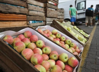 La covid-19 encarece en más del 100 % las materias primas en Centroamérica