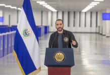 Bukele cumple dos años de Gobierno en medio de críticas por destituciones