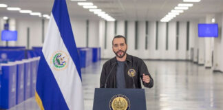 Bukele cumple dos años de Gobierno en medio de críticas por destituciones