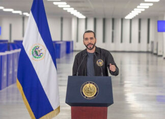 Bukele cumple dos años de Gobierno en medio de críticas por destituciones