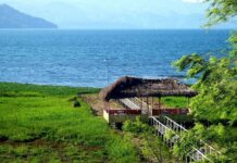Este martes analizarán las aguas del Lago de Yojoa para confirmar o descartar la bacteria del cólera