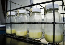 Leche no presenta aumento de precio, en Ahorro Ferias El Lempirita y Banasupro