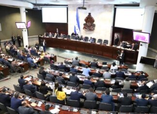 El CNE solicita al Congreso Nacional que lleguen a un consenso para aprobar la Nueva Ley Electoral
