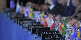 Piden a EEUU activar Consejo Permanente de OEA por situación en El Salvador