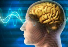 Desarrollan un sensor cerebral que permite a tetrapléjicos «escribir a mano»