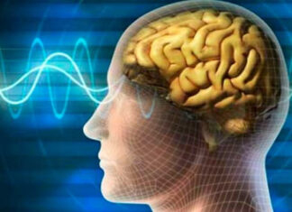 Desarrollan un sensor cerebral que permite a tetrapléjicos «escribir a mano»