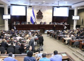 Congreso Nacional aprueba por mayoría simple el decreto referente a las ZEDES