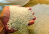 La producción de arroz disminuye un 34 por ciento en lo que va del 2021