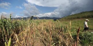 Declaran emergencia climática inmediata en Honduras hasta 2030