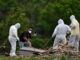 Honduras supera las 5.700 muertes por Covid-19 y registra 220.988 casos positivos
