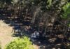 Trece muertos y tres heridos en el accidente de un teleférico en Italia