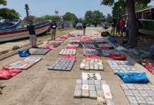 Incineran alrededor de tres toneladas de droga incautada en distintos operativos en todo el país