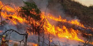Un incendio afecta una reserva natural boliviana cercana a Paraguay y Brasil