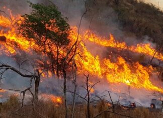 Un incendio afecta una reserva natural boliviana cercana a Paraguay y Brasil