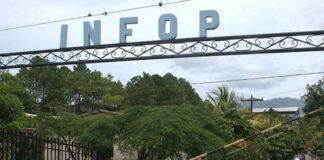 Dentro de 60 días podrían iniciar las clases presenciales en el INFOP