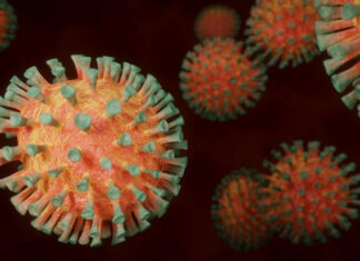 EE. UU. insiste en una investigación «transparente» del origen del coronavirus