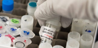 Alcaldes hondureños piden vacunas contra la covid-19 a El Salvador