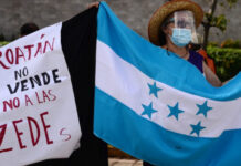 Desaparecen del Instituto de la Propiedad los registros de tierras cedidas a ZEDE en Roatán