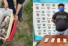 Ciudadano es detenido con más de 10 mil dólares por funcionarios policiales en Colón