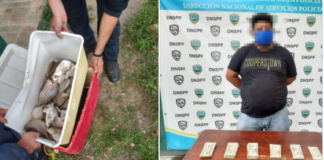 Ciudadano es detenido con más de 10 mil dólares por funcionarios policiales en Colón