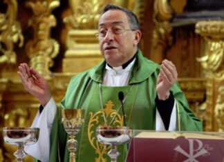 “Hay personas en una búsqueda desenfrenada del poder, matando, mintiendo y robando”, cardenal Rodríguez