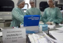 Detectan 41 casos de covid-19 en la Copa América