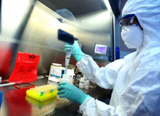 En Honduras circulan otros dos tipos de hongos a parte del Hongo Negro, según la jefa del Laboratorio Nacional de Virología