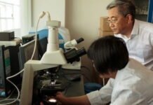 La OMS declara a China libre de malaria tras 70 años de lucha