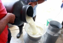 La SAG anuncia construcción de plantas procesadores de lácteos y un centro de reproducción bovina en Olancho