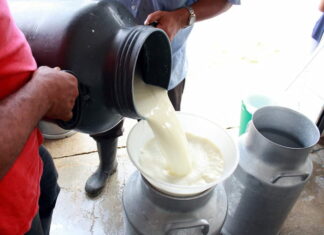 La SAG anuncia construcción de plantas procesadores de lácteos y un centro de reproducción bovina en Olancho