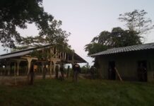 Sentenciadas dos socias de los Valle Valle capturadas en la Operación Cerbero