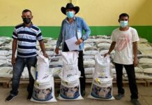 Un total de 600 millones de lempiras se invertirá en bonos para beneficiar a 176 mil productores del país