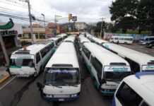 Transporte interurbano amenaza con paro por incumplimiento por parte del Gobierno