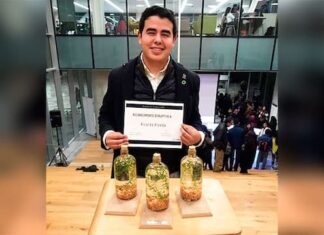 Un hondureño, una chilena y un ecuatoriano, en el Programa Jóvenes Líderes CE